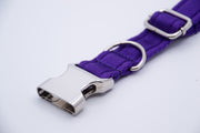 Activity Dog Collar - Purple