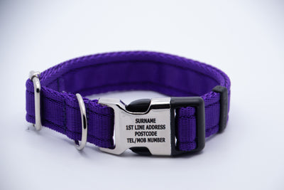Activity Dog Collar - Purple