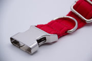Activity Dog Collar - Red