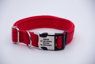 Activity Dog Collar - Red