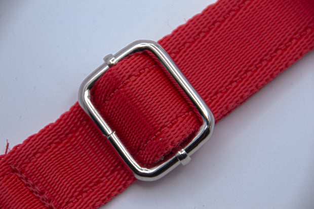 Activity Dog Collar - Red
