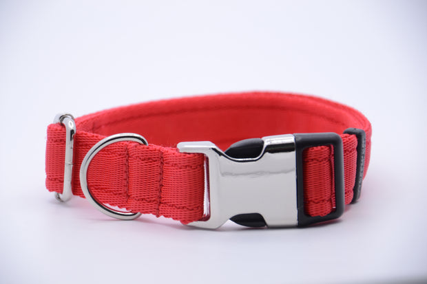 Activity Dog Collar - Red