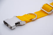 Activity Dog Collar - Yellow