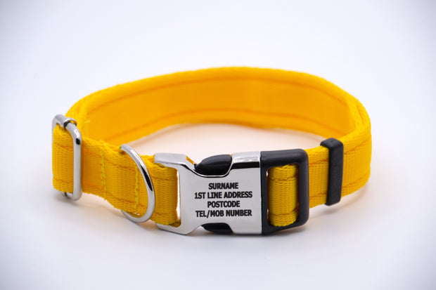 Activity Dog Collar - Yellow