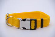 Activity Dog Collar - Yellow