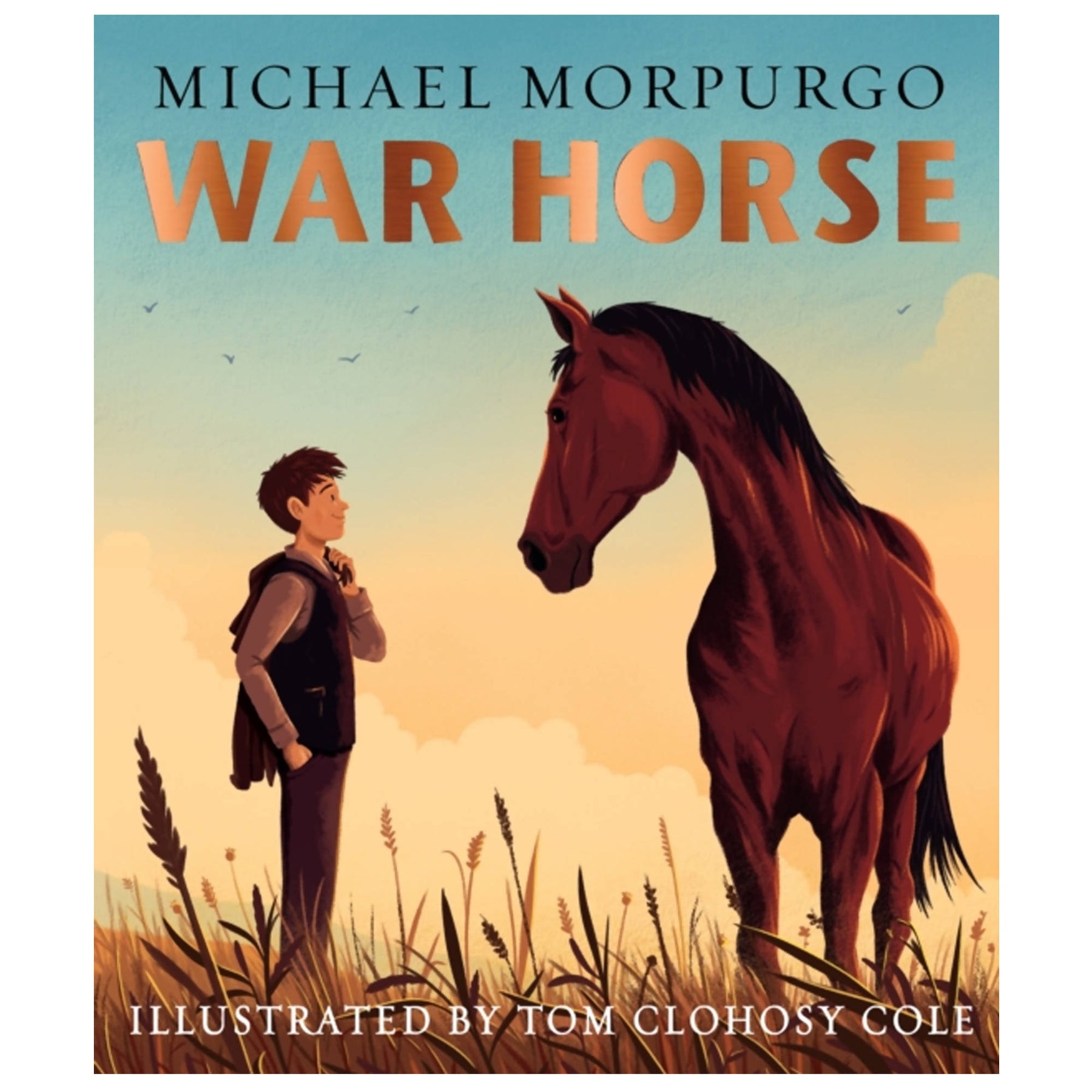 War Horse Picture Book – The British Horse Society Shop