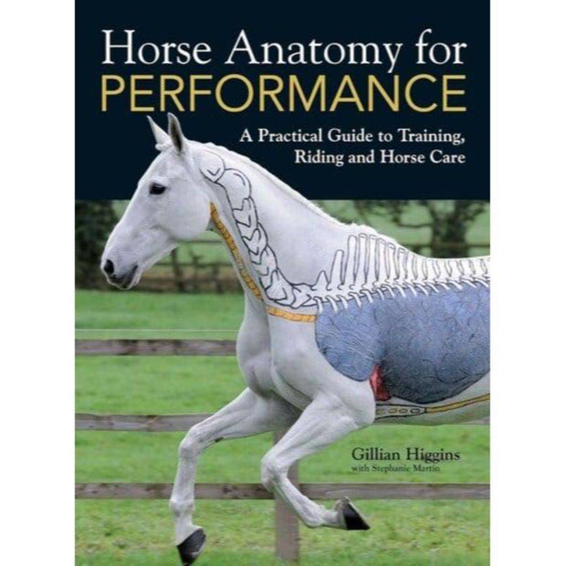 Horse Anatomy and Performance