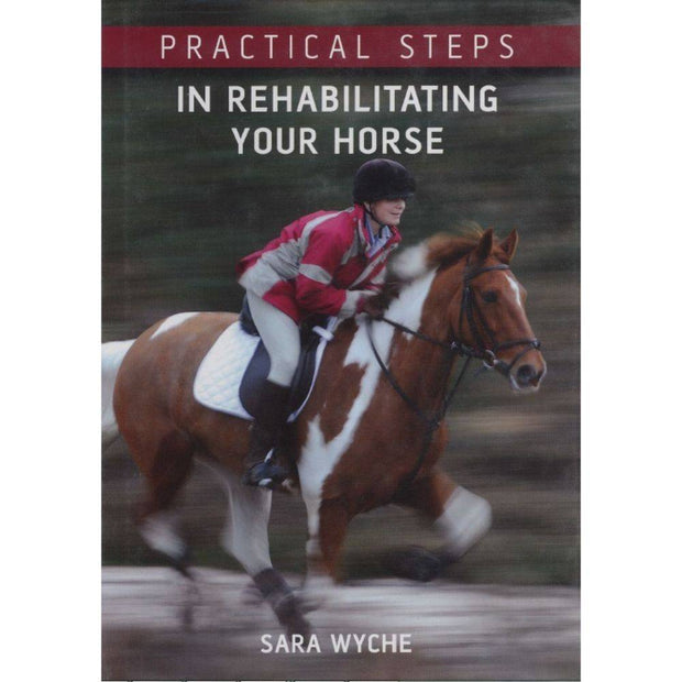 Practical Steps in Rehabilitating Your Horse