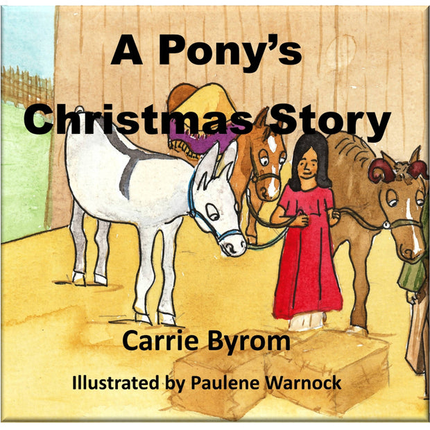 A Pony's Christmas Story
