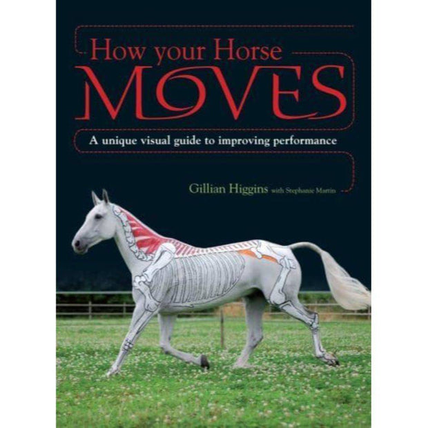 How Your Horse Moves