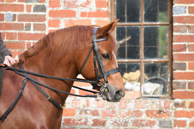 Brown Click & Connect Neck Strap Ultimate Set